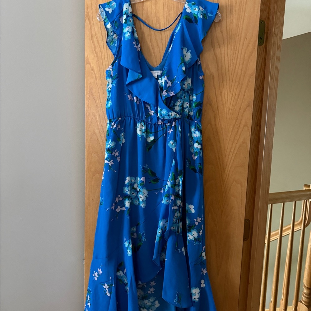 Socialite Floral Blue Ruffle Dress: new w/o tags